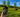 A Poclink Ultra Review - How Farm Coordinates 800 Acres With One Button Push - Poclink Radios