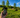A Poclink Ultra Review - How Farm Coordinates 800 Acres With One Button Push - Poclink Radios