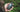 Choosing the Right Walkie-Talkie: Comparing Motorola and Poclink Radios - Poclink Radios