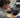 How to Operate a Ham Radio and Get Started - Poclink Radios